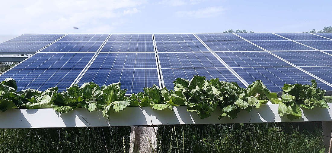 Vous êtes agriculteurs solaire hydroponie agri